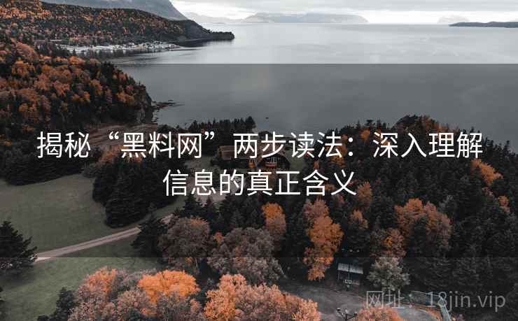 揭秘“黑料网”两步读法:深入理解信息的真正含义 揭秘“黑料网”两步读法:深入理解信息的真正含义